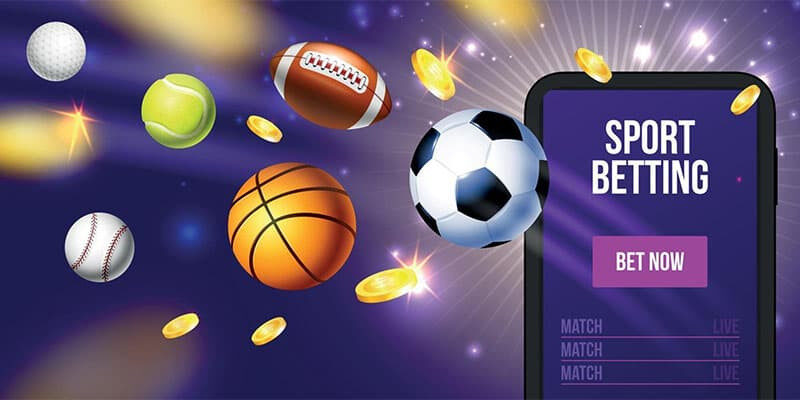 Tại Sao Nên Chọn Bsport?